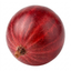 1 Red Gooseberry Fruit Bush Plant, Hardy Self Fertile, Outdoor Garden Ready, 5L Root Ball