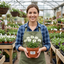 Set of 3 or 6 Large Plants - Arabis Aubris White, Ready to Plant in Your Garden, 1L