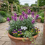 Set of 3 or 6 Erysimum Bowles Mauve Evergreen Hardy Perennial Wallflower Plants, Outdoor Garden Ready, 1 Litre / 11cm Root-Ball