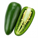 Jalapeno Variety Plants (Set of 3 or 6)
