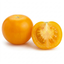 Tumbling Tom Yellow Cherry Tomato Plants