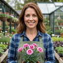 Fragrant Dianthus Plants (Set of 3 or 6)
