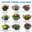 7 Colour Coordinated Plants - Sea Blues Theme Speedplanter, Garden Ready