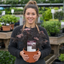 1 Sambucus Nigra Laced Up Plant, Ornamental Elderberry Hardy Perennial Shrub, 19cm Root-Ball