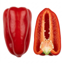 Sweet Pepper Thor Plants