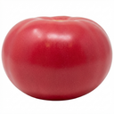 Tomato Rose Crush Variety Plants (Set of 3 or 6)