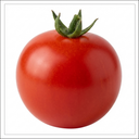 Tomato Veranda Red Variety Plants (Set of 3 or 6)