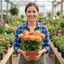 Set of 3 or 6 Ranunculus Vortex Orange Apricot Persian Buttercup Plants, Hardy Perennial, Spring Flowering, Outdoor Garden Ready, 1 Litre Root-Ball