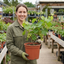 1 Grape Vine Vitis Exalta White Plant, Hardy Outdoor Garden Ready, 3 Litre Root-Ball
