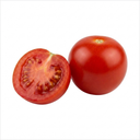 Gardeners Delight Cherry Tomato Plants