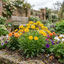 Set of 3 or 6 Coreopsis Early Sunrise Hardy Perennial Plants, Yellow Summer Flowers, Pollinator Friendly, 1 Litre Root Ball