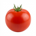 Tomato Premio Variety Plants (Set of 3 or 6)