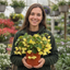 1 Large Plant - Begonia Fragrant Falls Lemon, Outdoor Garden Ready, 2L Pot
