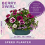 7 Colour Coordinated Plants - Berry Swirl Theme Speedplanter, Garden Ready