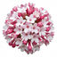 Set of 3 or 6 Viburnum Tinus Gwenllian Hardy Evergreen Flowering Shrub Plants, Winter Flowering Hedge, Outdoor Garden Ready, 11cm Root-Ball