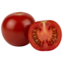 Tumbling Tom Red Cherry Tomato Plants