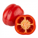 Sweet Pepper Snack Red Plants (Set of 3 or 6)