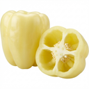 Sweet Pepper 'Liberty Belle' – Golden Bell Pepper (Set of 3 or 6)
