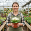 Set of 3 or 6 Primula Little Queen White Hardy Perennial Plants, Spring Flowering, Outdoor Garden Ready, 1 Litre Root-Ball
