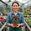 Set of 3 or 6 Large Plants - Dianthus Oscar Dark Red, Outdoor Garden Ready