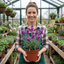 Set of 3 or 6 Erysimum Bowles Mauve Evergreen Hardy Perennial Wallflower Plants, Outdoor Garden Ready, 1 Litre / 11cm Root-Ball