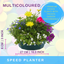 7 Colour Coordinated Plants - Berry Swirl Theme Speedplanter, Garden Ready