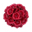 1 Dianthus Cherry Daiquiri Plant, Fragrant Hardy Summer Bedding Perennial, Outdoor Garden Ready, 5L Root Ball