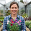 Set of 3 or 6 Large, Garden Ready Plants - Sweet Pea Growers Colour Mix, 10.5 cm