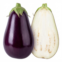 Grow Your Own Aubergine Galine Plants (Set of 3 or 6)