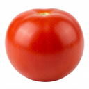 Tomato Cocktail Crush Variety Plants (Set of 3 or 6)