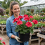 1 Geranium Calliope M Red Splash, Hardy Outdoor Summer Flowering Patio Plant, 5 Litre Root-Ball