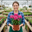 Set of 3 or 6 Phlox ‘Fabulous Rose’ Hardy Perennial Plants, Fragrant, Bee Friendly, Summer Flowering, Outdoor Garden Ready, 1 Litre Root-Ball