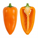 Sweet Pepper Snack Orange Plants (Set of 3 or 6)