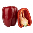 Sweet Pepper Red King Plants