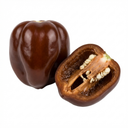 Habanero Chocolate Plants (Set of 3 or 6)