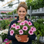 1 Large Plant - Petunia Sanguna Mega Pink Vein, Outdoor Garden Ready, 2L Pot