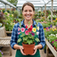 Set of 3 or 6 Hollyhock Growers Mix Hardy Cottage Garden Perennial Plants, Bee Friendly, Outdoor Garden Ready, 1 Litre Root-Ball