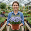 Set of 3 or 6 Phlox Emerald Cushion Blue Alpine Plants, Hardy Perennial Creeping Ground Cover, Flowering Garden Plants, 1 Litre Root-Ball