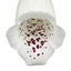 1 Digitalis Hanabee White Foxglove Plant, Hardy Perennial, Bee Friendly, 3 Litre Root Ball