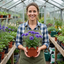 3 Scabious Blue Note Hardy Perennial Plants, Bee Friendly Pincushion Flower, 1 Litre Root Ball