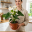 1 Anthurium White Flowering Houseplant, Live Tropical Indoor Plant, Easy Care, 17cm Root-Ball