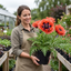 1 Papaver Orientale Turkenlouis Plant, Red Hardy Oriental Poppy Perennial, 3 Litre Root Ball