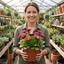 1 Bellis Habanera Rose Pink Double Daisy Plant, Hardy Perennial Spring Bedding, 2Ltr Root Ball