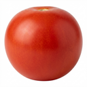 Tomato Crokini Variety Plants (Set of 3 or 6)