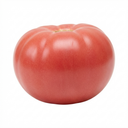 Tomato Brandy Boy Variety Plants (Set of 3 or 6)
