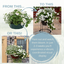 7 Colour Coordinated Plants - Effortless Chic Theme Speedplanter, Garden Ready