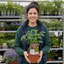 1 Honeycomb Cherry Tomato Plant, Outdoor Garden Ready, Grow Your Own Tomatoes, 2 Litre Root Ball