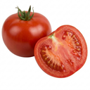 Tomato ‘Consuelo’ Plants (Set of 3 or 6)