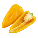 Yellow Sweet Pepper Plants
