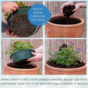 7 Colour Coordinated Plants - Sea Blues Theme Speedplanter, Garden Ready